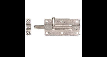 Deltafix schuifslot/plaatgrendel - 1x - 10 x 5cm - RVS - deur - schutting - hek