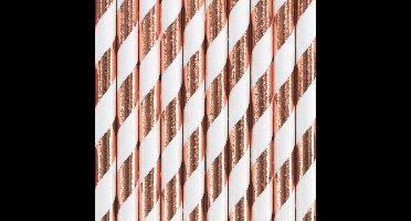 Drinkrietjes - papier - 20x - wit/rose goud strepen - 19,5 cm - rietjes