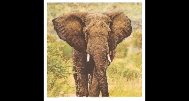 Esschert Design Servetten - Olifant print - 33x33 cm - Afrika / safari thema - wegwerpservetten