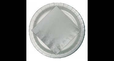 Feestbordjes/bbq bordjes karton - 48x - zilver - 23 cm