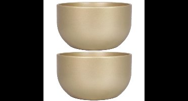 Floran Bloempot - 2x stuks - schaal - parelgoud - keramiek - binnen - 26 x 14 cm