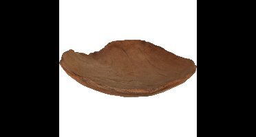 Fruitschaal - teak hout - D30 cm - fruitmand - serveerschaal - decoratie