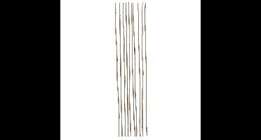 Gerimport Plantenstokken - 10x stuks - 60 cm - plantensteun / tonkinstokken