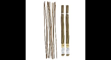 Gerimport Plantenstokken - 20x stuks - 60 cm - plantensteun / tonkinstokken