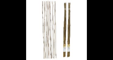 Gerimport Plantenstokken - 20x stuks - 90 cm - plantensteun / tonkinstokken