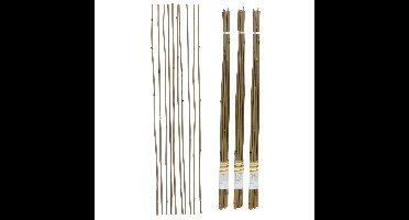 Gerimport Plantenstokken - 30x stuks - 90 cm - plantensteun / tonkinstokken