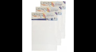 Gerimport Schilderdoek - 3x - 30 x 20 cm - blanco canvas - rechthoekig - houten frame