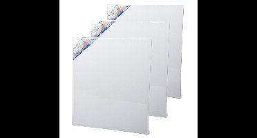 Gerimport Schilderdoek - 4x stuks - 60 x 50 cm - blanco canvas - rechthoekig - houten frame