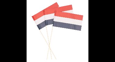 Holland zwaaivlaggetjes - papier - 38 cm - Nederlandse vlag - Koningsdag