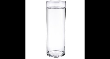 Home & Styling Bloemenvaas - Cilinder vorm - transparant - glas - 15 x 50 cm - rechte cilinder