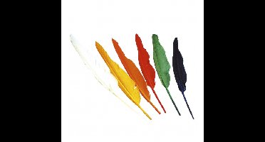 Indianen veren - 12x stuks - gekleurd - 25-30 cm - indianenveren - hobby