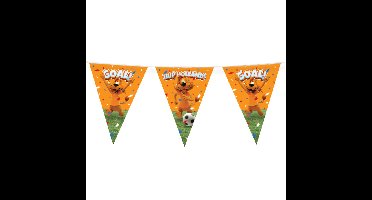 Loeki de Leeuw Hup Holland vlaggenlijn oranje 10 meter