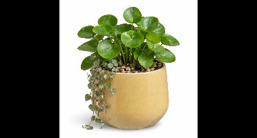Mica Decorations bloempot / plantenpot Venice - beige - terracotta - D16 x H13 cm