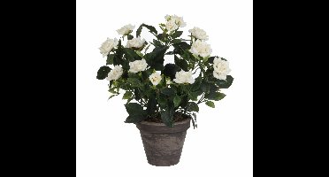 Mica Decorations Kunstplant - rozen - wit - in grijze pot - 33 cm
