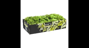 Mica Decorations Rendiermos - 500 gram - groen - hobby mos