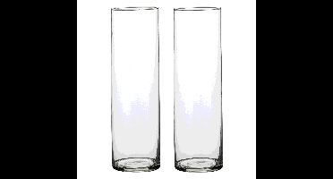 Mica Decorations Vaas - 2x - cilinder - helder glas - D9 x H30 cm - Bloemenvaas