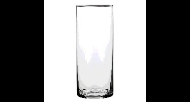 Mica Decorations Vaas - cilinder - helder glas - D12 x H30 cm - Bloemenvaas