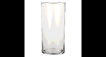 Mica Decorations Vaas - cilinder - helder glas - D19 x H40 cm - Bloemenvaas