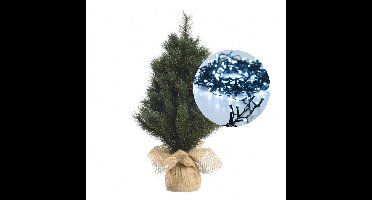 Mini kerstboom 45 cm - met kerstverlichting helder wit 300 cm - 40 leds