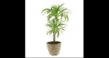 Plantenmand - rotan - maisblad - D25 x H22 cm - ronde plantenpot - bloemen mand