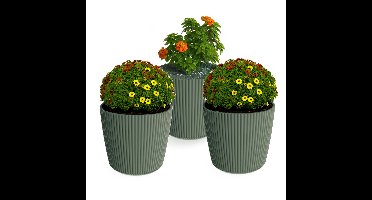 Plantenpot/bloempot Buckingham - 3x - buiten/binnen - kunststof - dennengroen - D14 x H13 cm