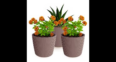 Plantenpot/bloempot Buckingham - 3x - buiten/binnen - kunststof - terra bruin - D14 x H13 cm