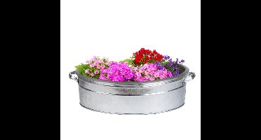 Plantenpot/teil voor buiten - groot - zink - zilver - L59 x D45 X H15 cm