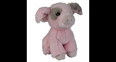 Pluche knuffel dieren Varken van 18 cm