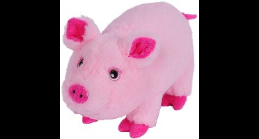 Pluche speelgoed knuffeldier Varken/Biggetje van 24 cm