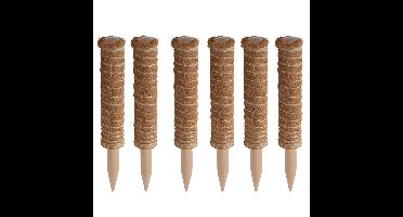 Pro garden plantenstok kokos - 6x - eucalyptushout - D4,5 x H30 cm - plantensteun