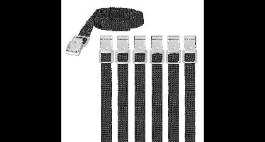 Proplus caravan/camper fietsen spanbanden/sjorbanden/bindriemen - 6x stuks - 100 cm