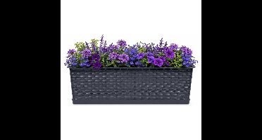 Prosperplast Plantenbak Ratolla - grijs - 50x17x15 cm - 8L - bloemenbak