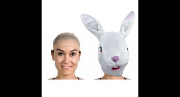 Pruiken netje - 1x - haarnetje - voor hygi?ne - comfort - carnaval - verkleden