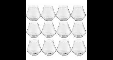 Royal Leerdam Whiskey glazen Artisan - 12x stuks - 290 ml - borrelglazen
