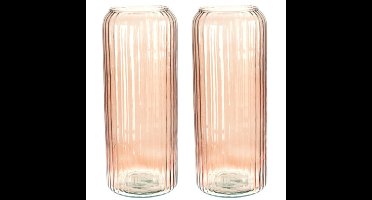 Set van 2x Excellent Houseware glazen vaas / bloemen vazen - roze - 15 x 37 cm