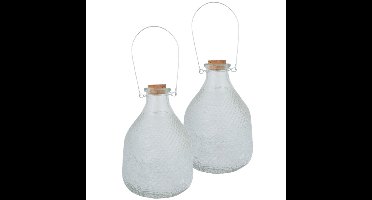 Set van 2x stuks wespenvangers/wespenvallen transparant glas 21 cm