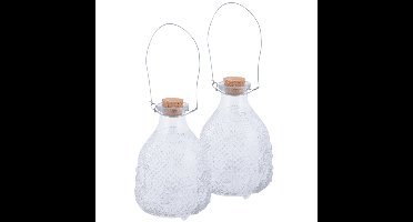 Set van 3x stuks wespenvangers/wespenvallen transparant glas 14 cm