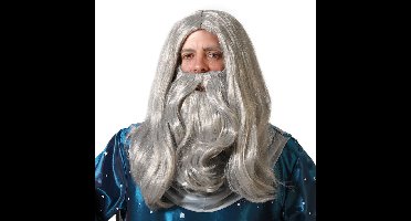 Verkleedpruik met baard heren - grijs - Middeleeuwen/Tovenaar - Carnaval - lang haar