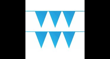 Vlaggenlijn - 2x - blauw - 10 meter - kunststof - slingers