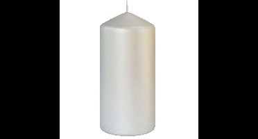 Zilveren cilinderkaarsen/ stompkaarsen 15 x 7 cm 52 branduren - Mat zilver