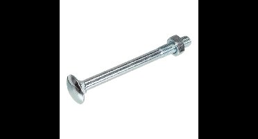 Proftec slotbout [25x] - VZ - M10x80mm