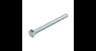 Hoenderdaal tapbout - VZ - SW-24 - M16x60mm