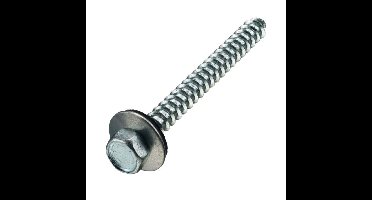 Hoenderdaal gevel/montageschroef - VZ - 6K - SW-10 - 6.5x32mm