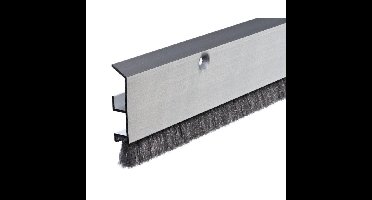 Ellen Dorpelprofiel met Borstel ADS B Robust - 100cm aluminium
