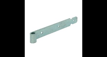 Gebr. Bodegraven duimgeheng - 1200x45x6mm - voor pen Ø16 - verzinkt