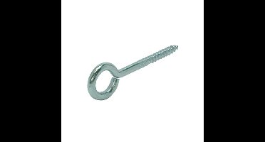 Gebr. Bodegraven schroefoog - 20x8x3,2mm - verzinkt