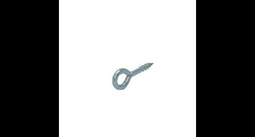 Gebr. Bodegraven schroefoog voor windhaak - No. 15 - 35x10x6mm - verzinkt