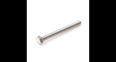 Hoenderdaal tapbout [100x] - RVS-A2 - SW-17 - M10x50mm