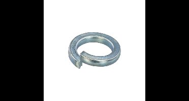 100x 100x Hoenderdaal veerring [100x] - VZ - M12 12.2x21.1x2.5mm