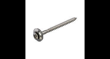 Dak&Gevel spenglerschroef met EPDM ring [100x] - RVS-A2 - LK - TX-20 - 4.5x50mm